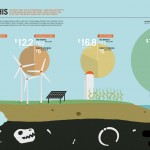 subsidize