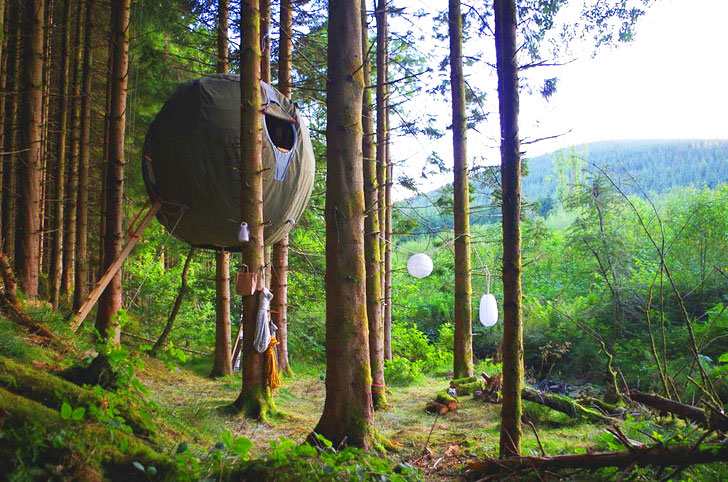 luminair-Tree-Tent-In-Forest